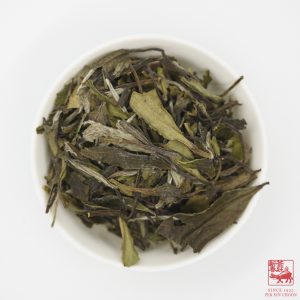 Alternative view of White Peony <br>白牡丹