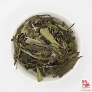 Alternative view of White Peony <br>白牡丹