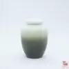 Glazed Earthenware Tea Caddy Green, 80g